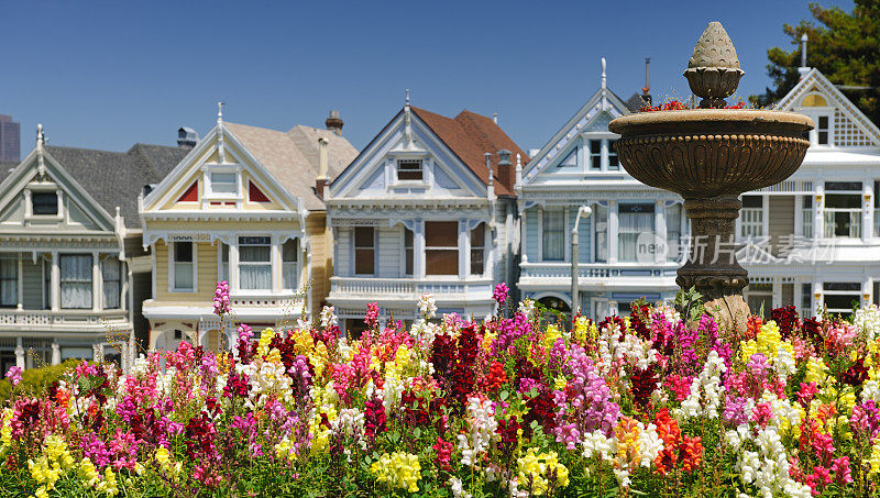 Painted Ladies，旧金山，加利福尼亚(XXXL)